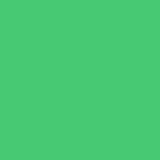 Fluorescent Zelená 1 l, PMcolours
